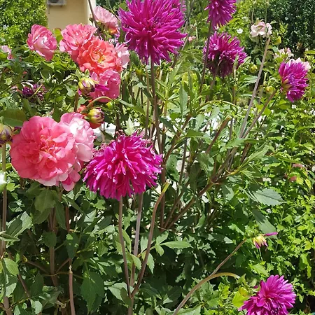 Διαμέρισμα 2b